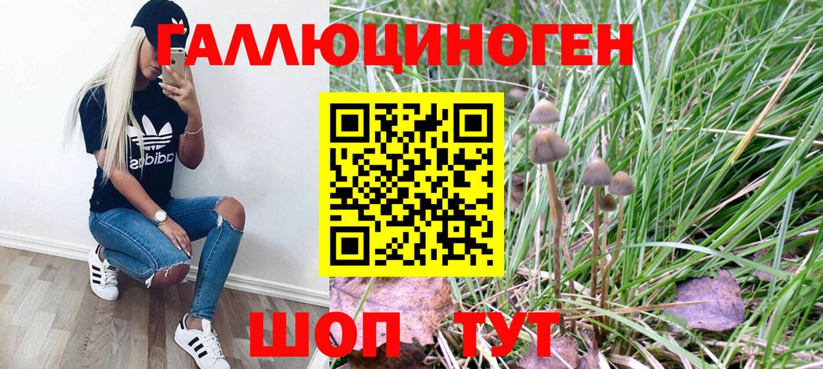 Псилоцибиновые грибы ЛСД Можайск